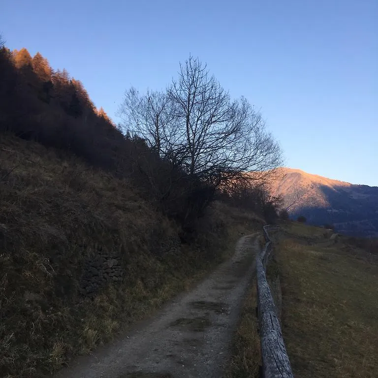 Appartamento Adamello Ski Appartament Vione Italia